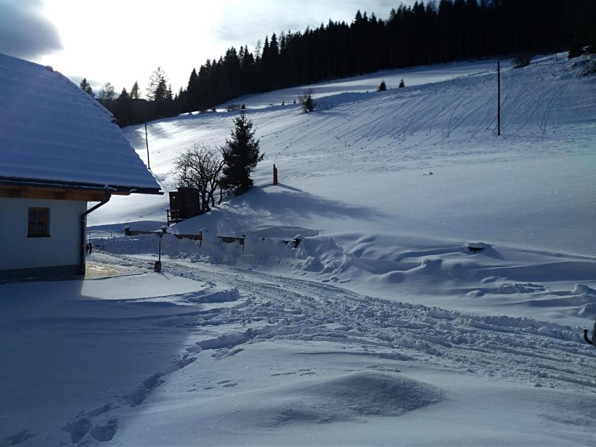 Premiumalmhuette Wiedhupf Peterdorf ภายนอก รูปภาพ